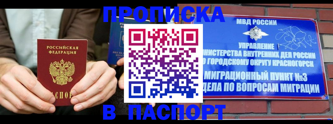 где прописаться в Павловске